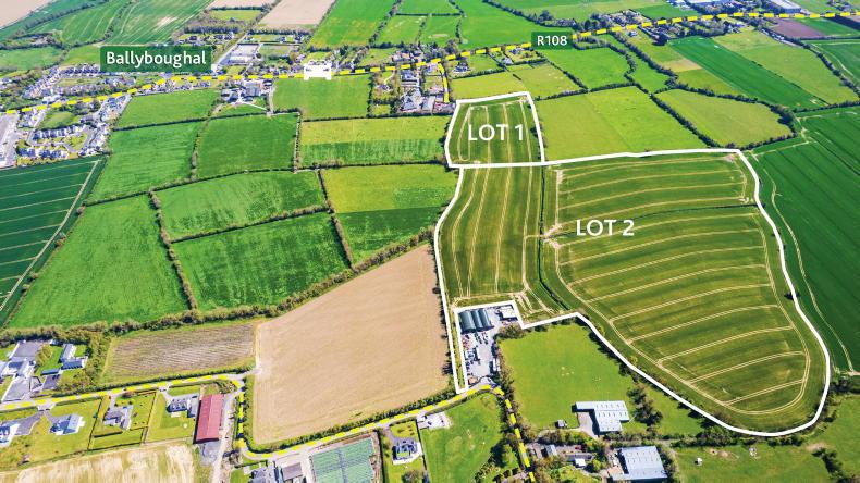 43-acre Dublin farm sells for €1.1m at auction