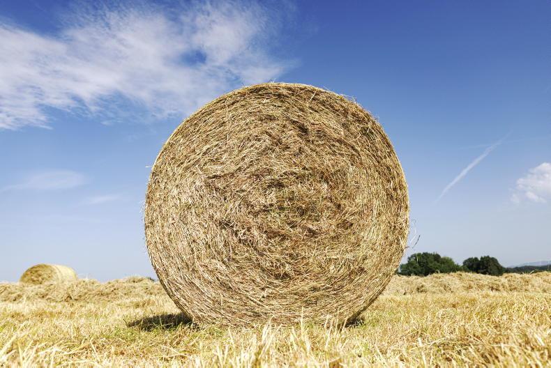 On-farm auction of 600 hay bales in Wexford