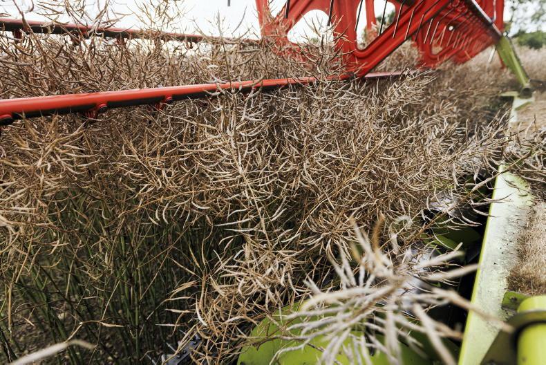 Harvest continues at pace as oilseed rape performs well