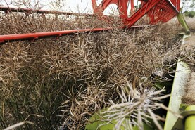 Harvest continues at pace as oilseed rape performs well