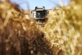 In Pictures: busy warm week in harvest, livestock and summer farming