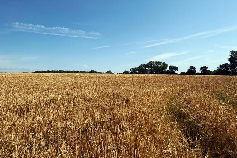 €2m price tag for island farm with a difference
