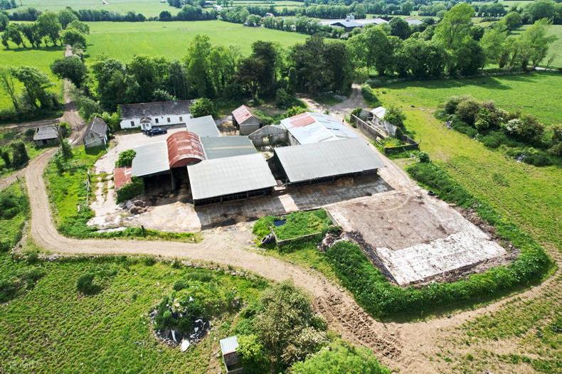 Golden Vale 111.5ac residential farm with €1.5m guide price