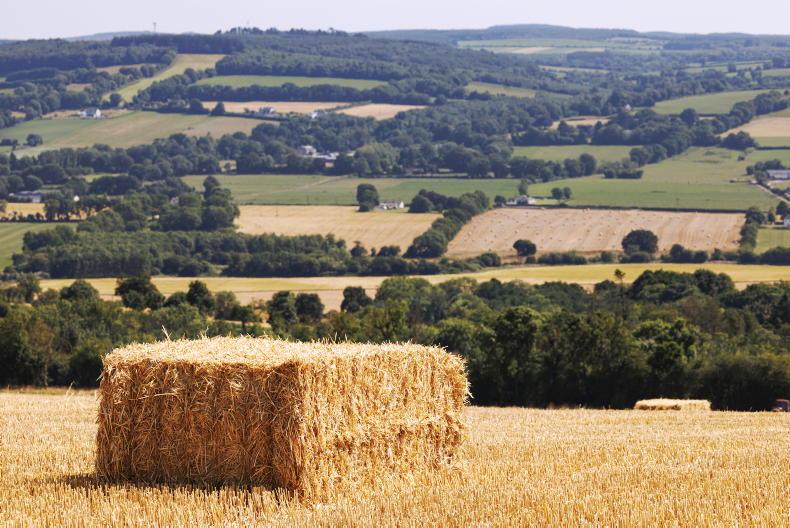 Weekend weather: temperatures to reach 28°C as dry spell holds