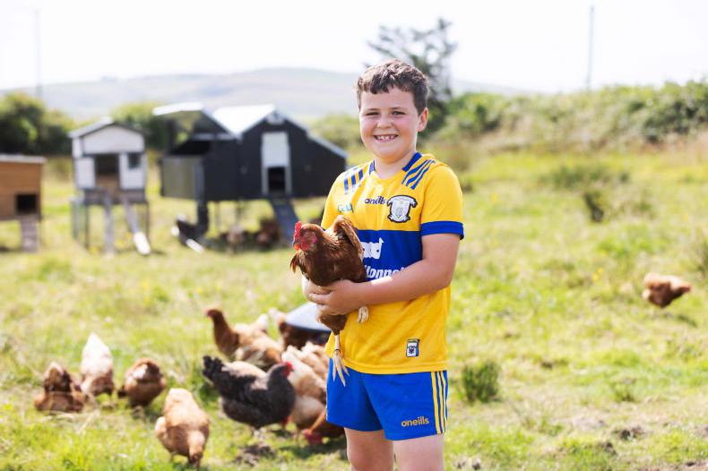 Honesty box for Co Clare young entrepreneur goes viral