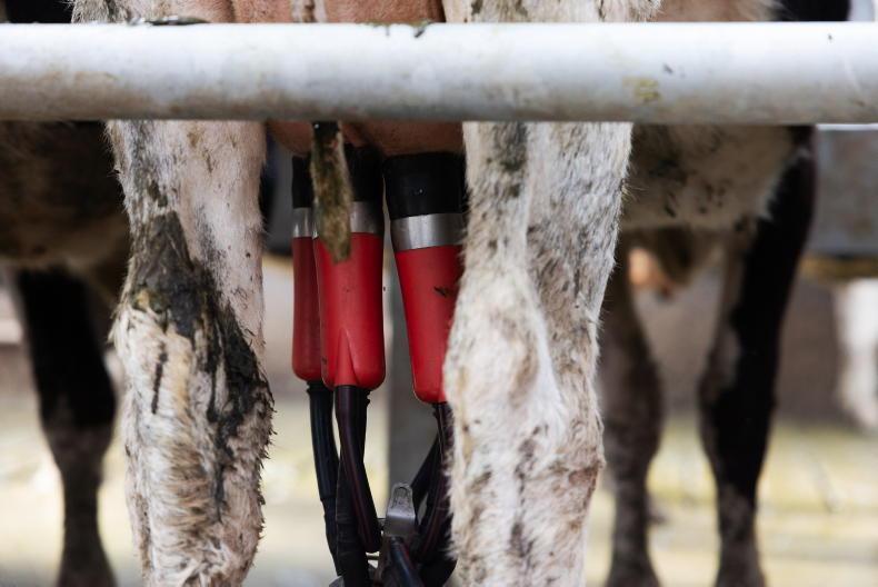Tirlán holds June milk price as part of three-month set rate