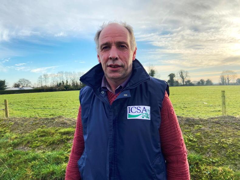 ICSA calls for investigation into cattle being euthanised on farms