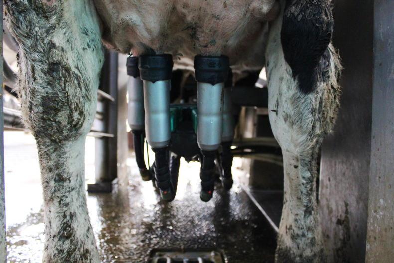 Latvian farmer suspected of robotic milking equipment subsidy fraud