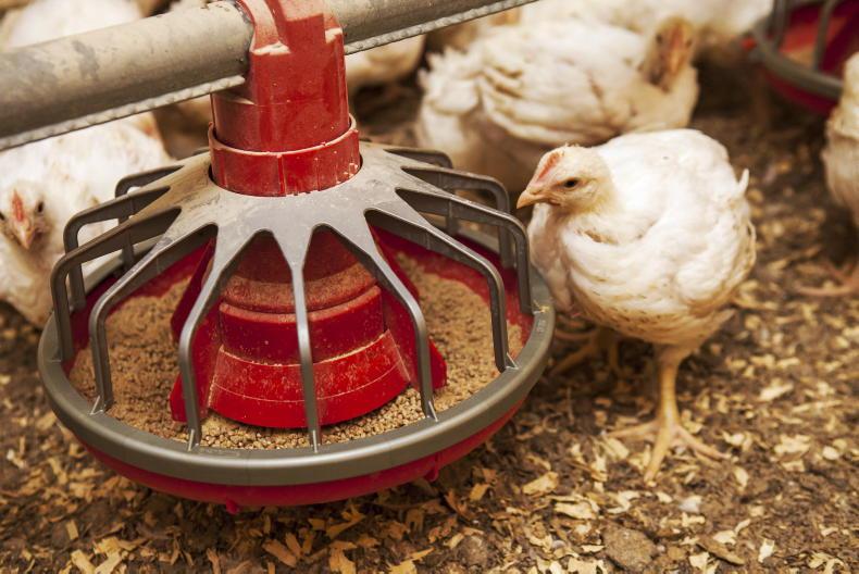 Ex-IFA chair Alo Mohan’s €32m poultry VAT damages claim thrown out