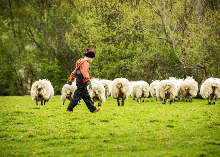 Mart managers on succession: 'younger generations have upped their game'