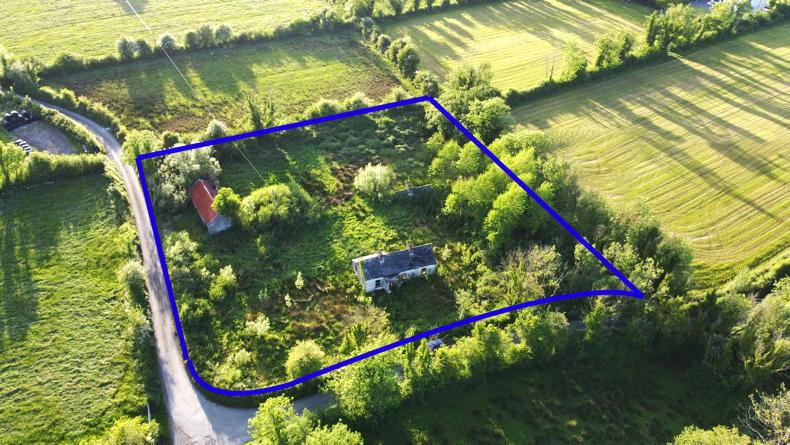 Farm for sale offers farming, forestry and VPRG potential in Co Galway