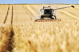 Safety must be the first priority at harvest time