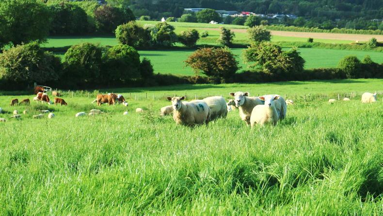 Teagasc farm manager apprenticeship opens for applications