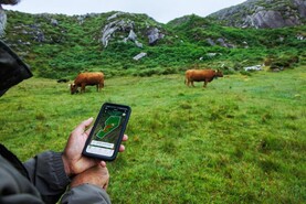 MEP calls for virtual fencing to be supported under TAMS