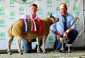 Champion title and top price for Galway-bred Beltex