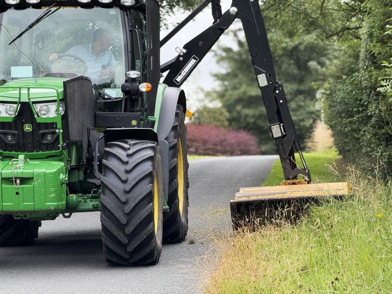 Hedge-cutting season Ireland: dates, rules and hedgerow management tips