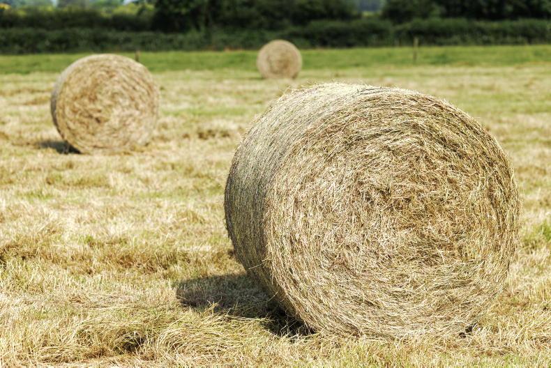 900 round hay bales sell for average of €22/bale