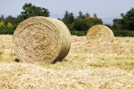 Share your views: what are hay and straw costing in your area
