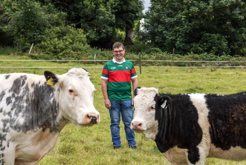 My Farming Week: Alan Flatley, Glann, Kilkelly, Co Mayo