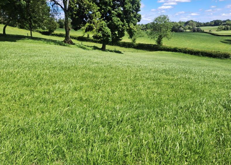 Total grass grown down 9% on 2025