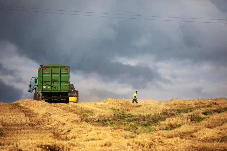 Farm incomes back in the shade