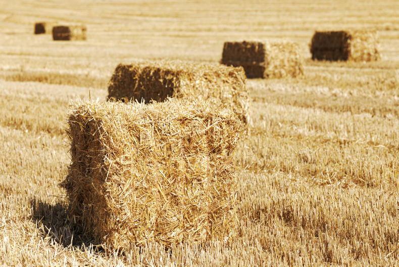 No extension to catch crop planting deadline