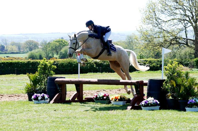 Demand for Irish Sport horses gathers pace at mid-season