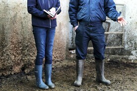 Farm inspections by local authorities up 66% in 2025