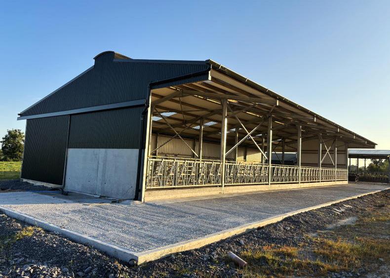 Six-bay slatted shed impresses in Tuam