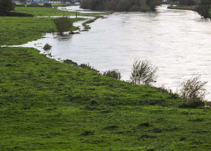 Department embarks on a ecologist hiring spree