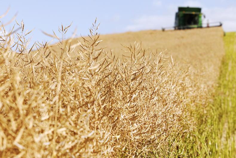 Tillage Management: harvest, catch crops and beet
