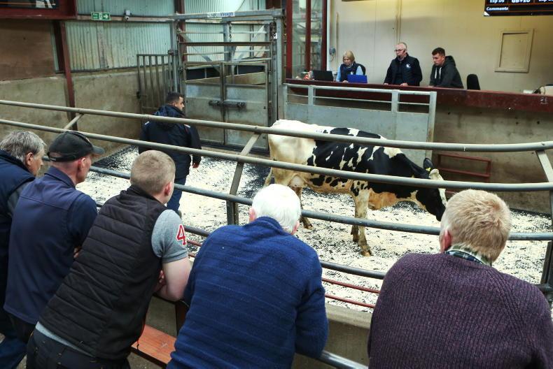 Northern Ireland diary of events