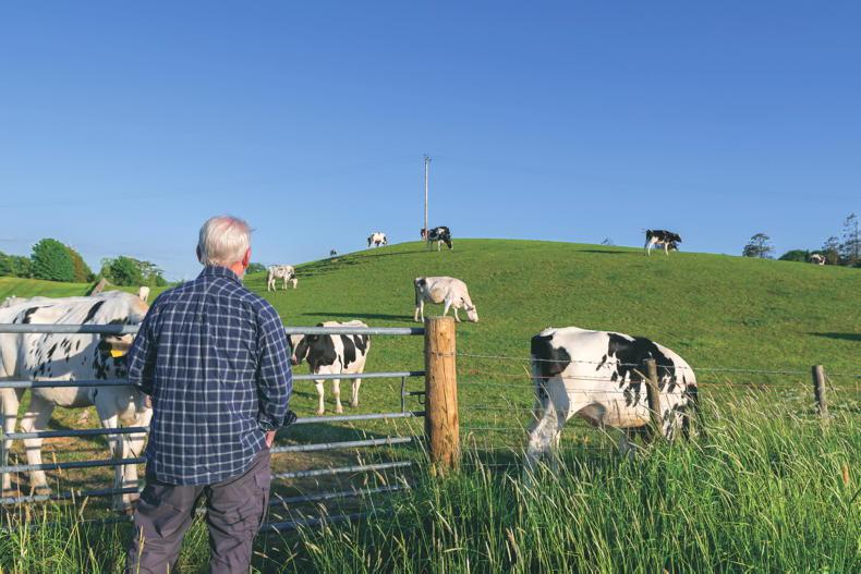 Buying a farm? Key factors you need to consider