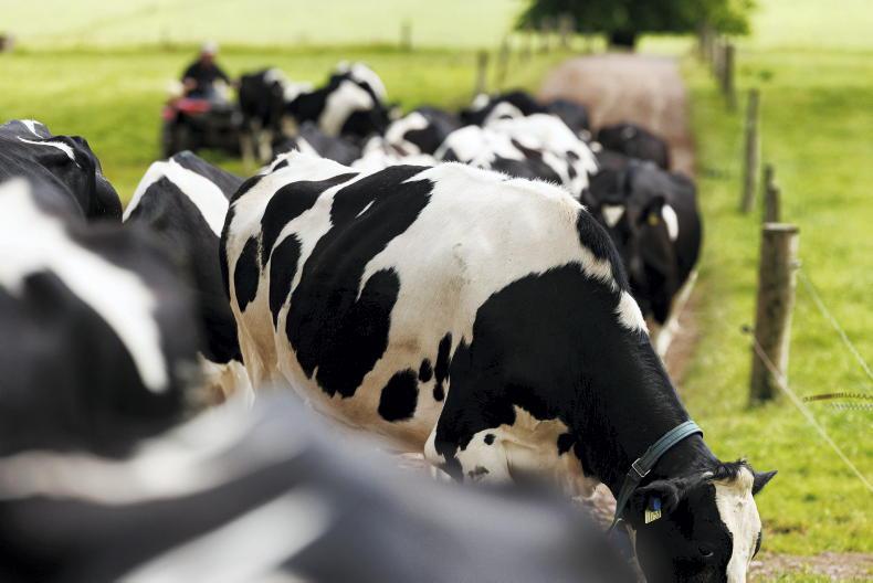 Fertiliser prices squeeze farm incomes