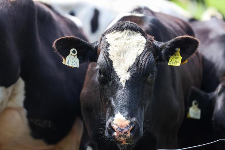 Editorial: back to reality for farm incomes in 2026