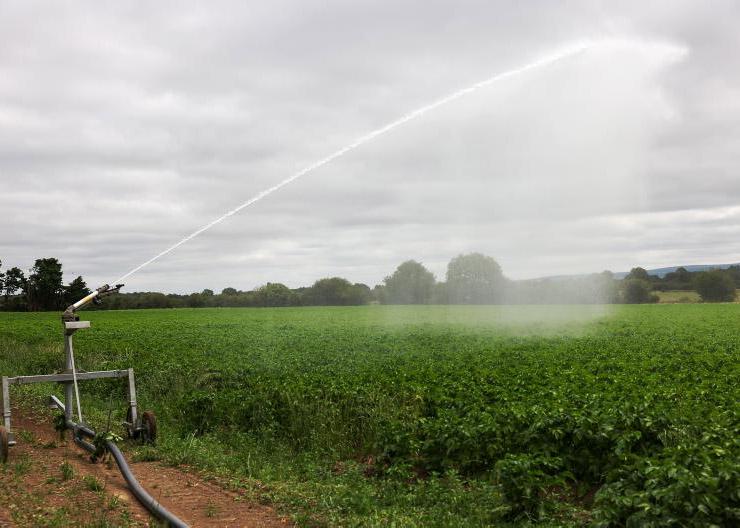 'Would we welcome a drop of rain? Absolutely'