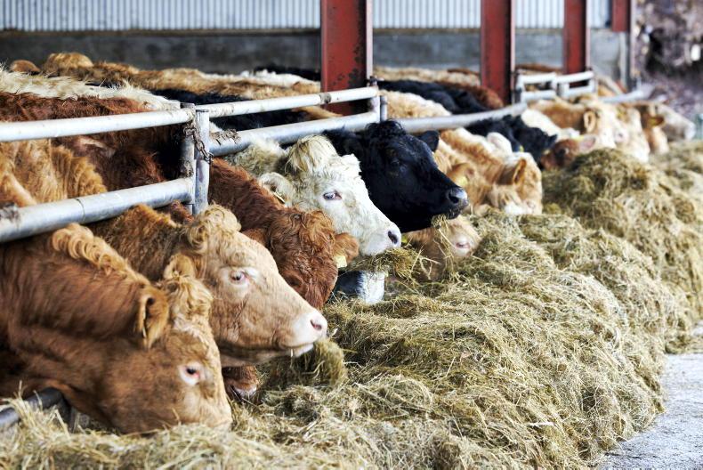 New push for NI farms to buy from TB herds