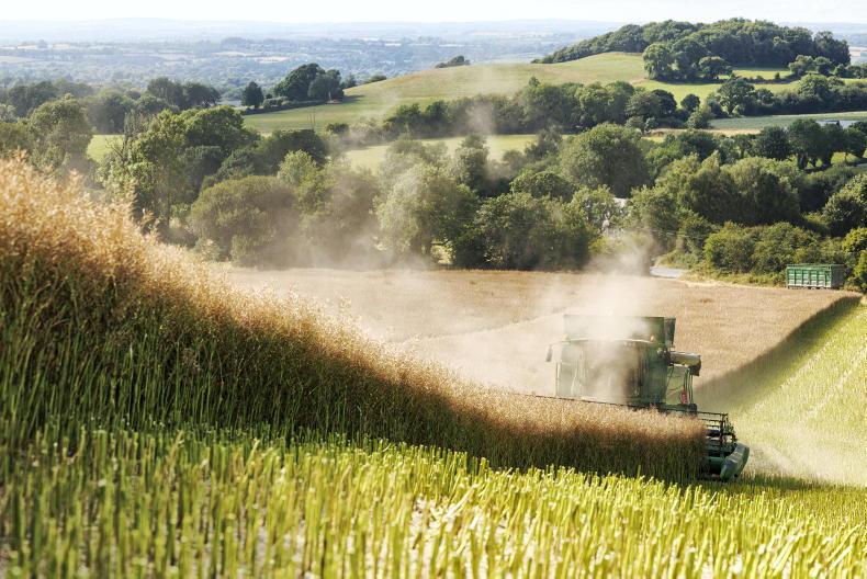 Grain Trends: grains and oilseeds rise again this week