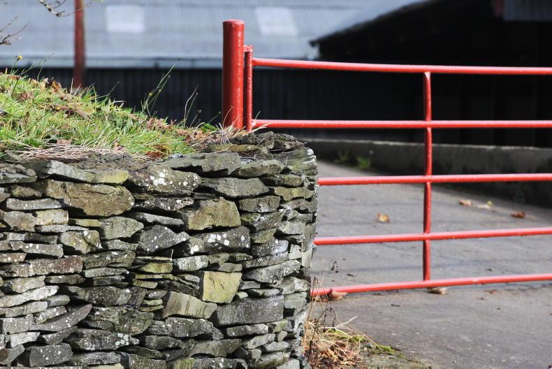 Peter 'Chap' Cleere: 'I'll only be a minute' is a phrase every farmer knows