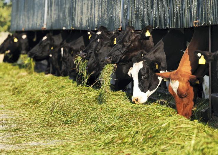 Mayo’s drought may be over, but it persists elsewhere