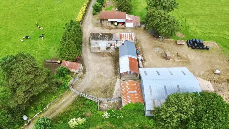92ac Wexford farm sells for €1.73m following intense auction room battle