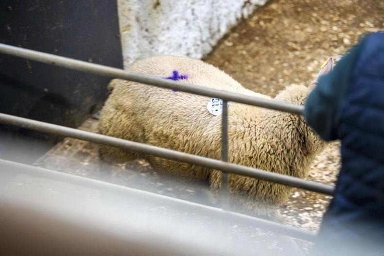 Tax officials aware VAT anomaly could be turning farmers away from marts