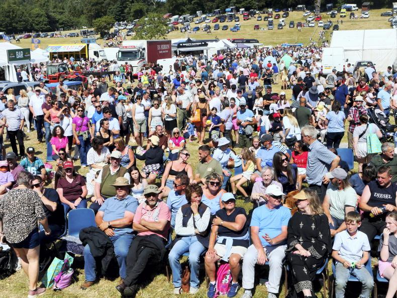 In pictures: summer in full swing across Irish countryside