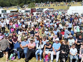 In pictures: summer in full swing across Irish countryside