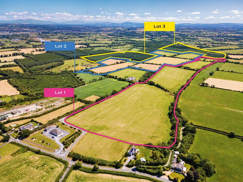 176ac mixed grassland and forestry holding guides at €1.6m