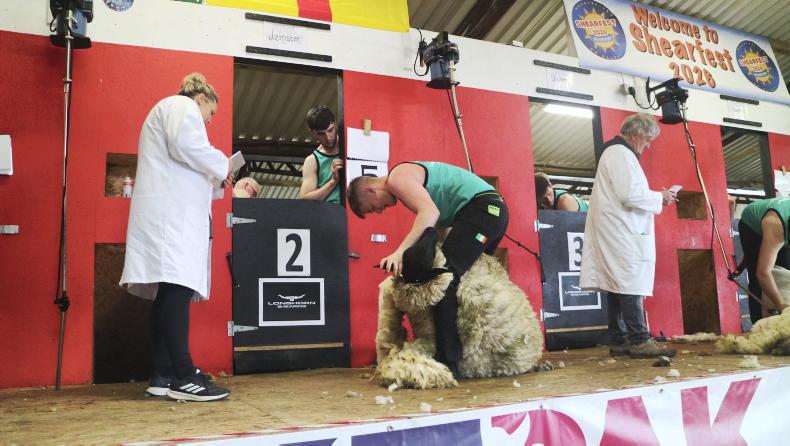 Dunne’s thrilling shearing year continues with Royal Welsh win