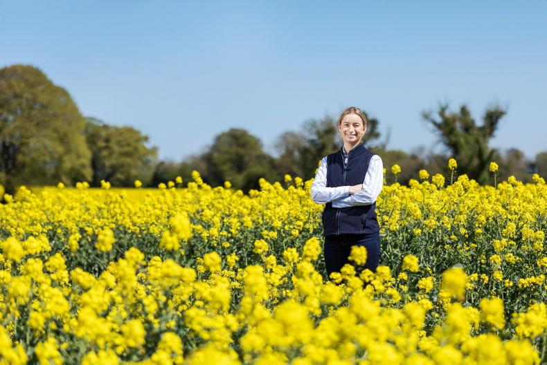Tillage scheme moving forward   