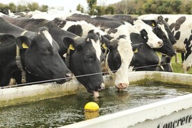 Tirlán outlines key steps for managing drought on dairy farms