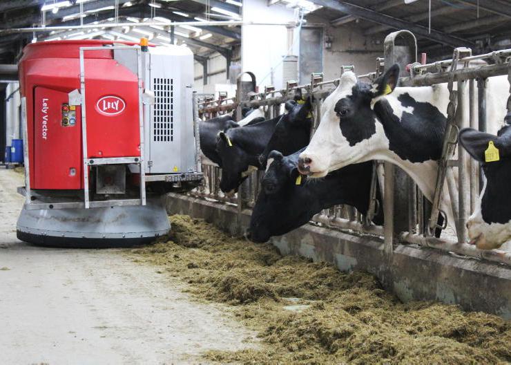Aurivo ahead of Dale Farm in 1m litre leagues