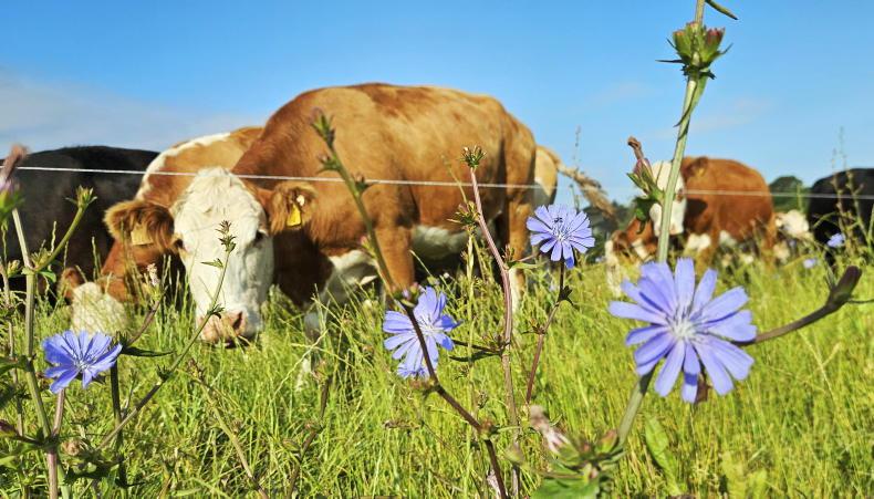 Agri jobs: Donegal farm seeks managers